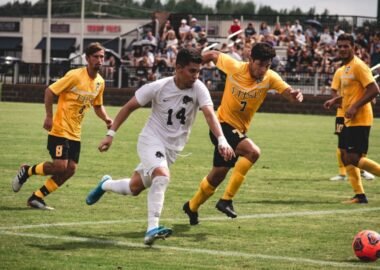 sportsbooks ramah pemula